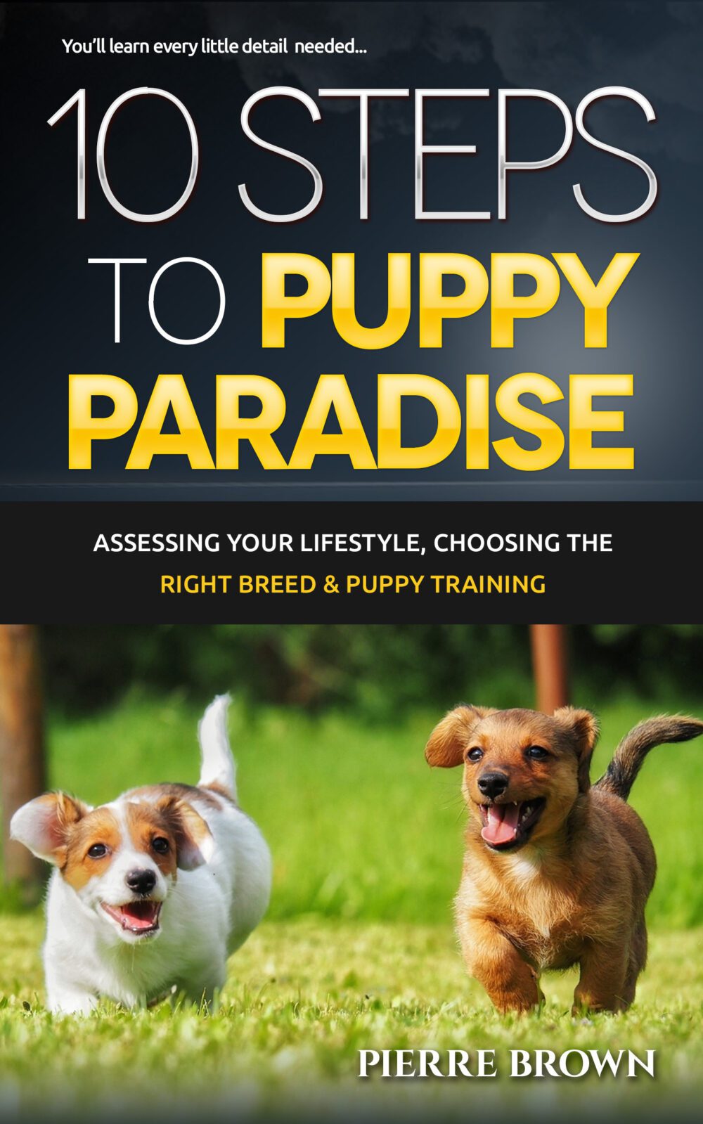 10 Steps To Puppy Paradise