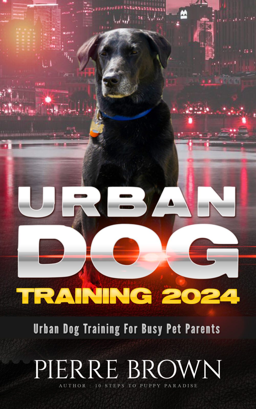 Urban Dog Training 2024